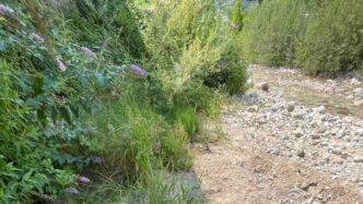 Sversamento Di Olio Motore Nel