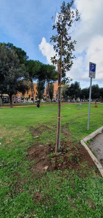 Tentativo Di Adescamento A Lad