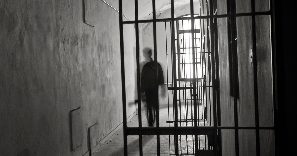 Tentativo Di Evasione Sventato