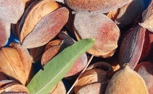 Terre Di Sicilia2C Specialitc3A0 A