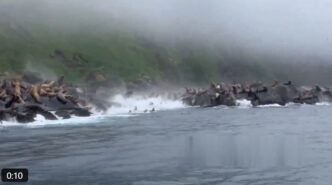 Terremoto In Kamchatka3A Il Pan