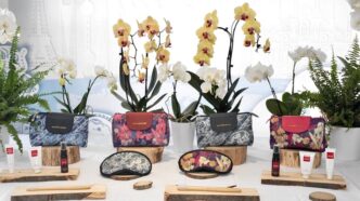 Thai Airways Celebra 65 Anni C