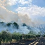 Tre Incendi Divampano Quasi In Contemporanea Nel Fermano: Uno Coinvolge Vaste Aree Di Vegetazione