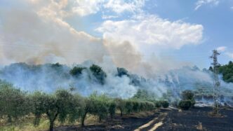 Tre Incendi Divampano Quasi In