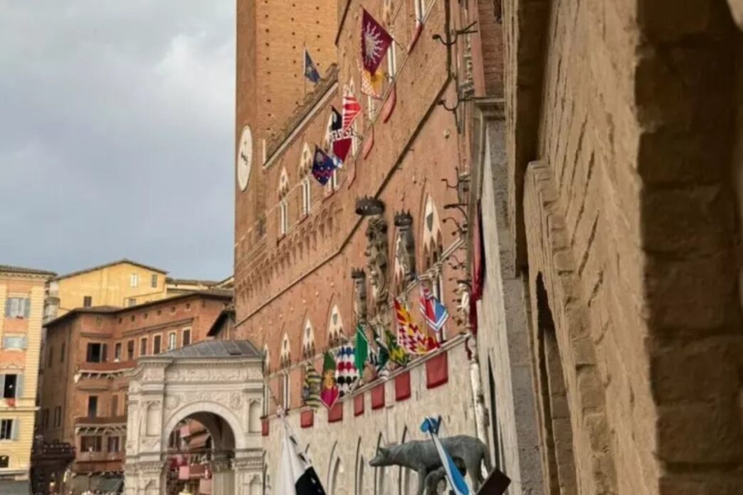 Turista Tedesco Lava Il Cane N