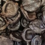 Umami Presenta Il Limone Nero Italiano: Un Prodotto Unico Nato Dalla Tecnica Dell’Aglio Nero
