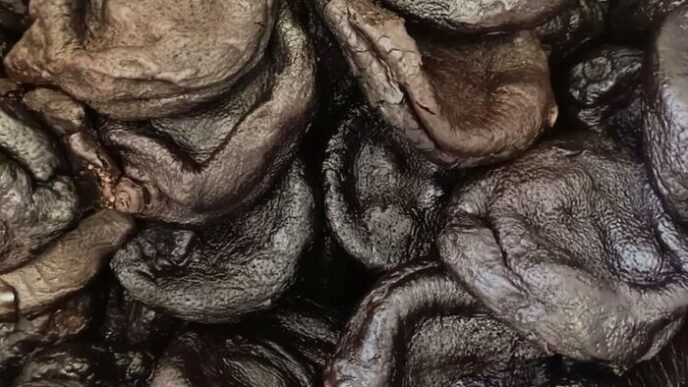 Umami Presenta Il Limone Nero