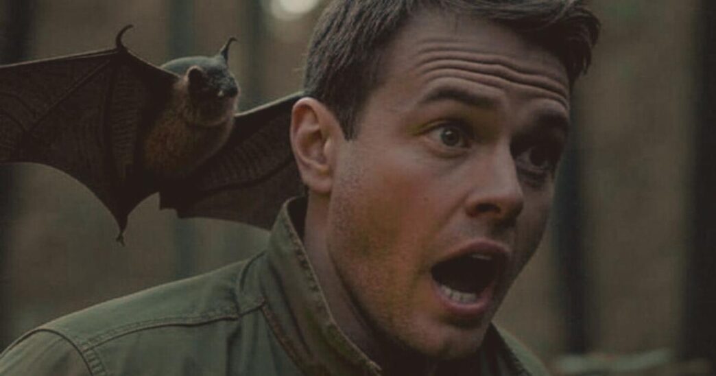 Un Morso Di Pipistrello Nel Nu