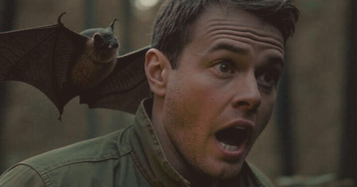Un Morso Di Pipistrello Nel Nu