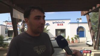 Un Presunto Coccodrillo Crea A