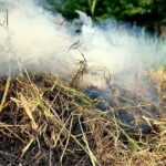 Un Vasto Incendio Distrugge Rotoballe Di Fieno A Castagnole Lanze, Vigili Del Fuoco Ancora Al Lavoro