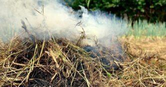 Un Vasto Incendio Distrugge Ro