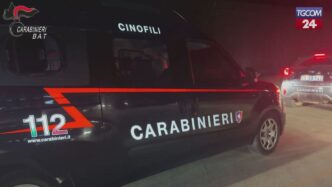 Undici Arresti In Puglia Per T
