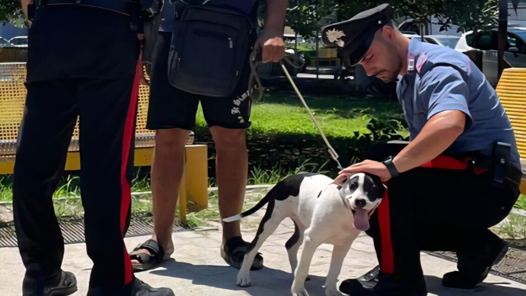 Uomo Arrestato A Soverato Per