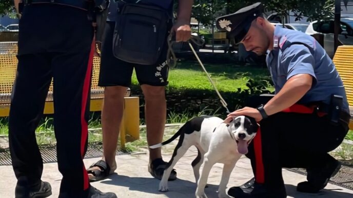 Uomo Arrestato A Soverato Per