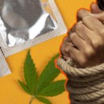 Uomo Di Viguzzolo Arrestato Per Droga E Abusi Su Minore, Indagini In Corso In Provincia Di Alessandria