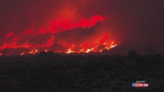 Vasto Incendio Nella Riserva N