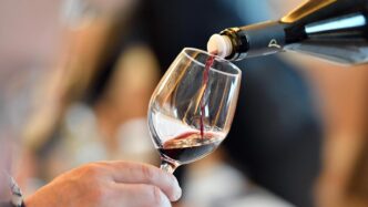 Vendemmia 20252C Produzione Rec