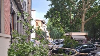 Vento E Pioggia Causano Disagi