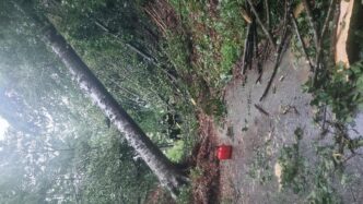 Vento Forte E Pioggia Torrenzi