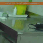 Verifica Sull’aplotipo Y Nell’indagine Sull’omicidio Di Chiara: Tra Contaminazioni E Possibili Testimoni