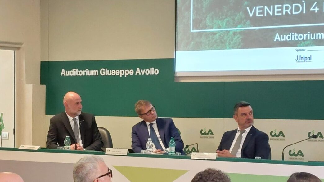 Verso Una Riforma Della Legge