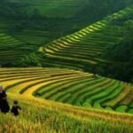 Vietnam Registra Crescita Record Del Turismo Internazionale Nel Primo Trimestre 2025, +30% Arrivi