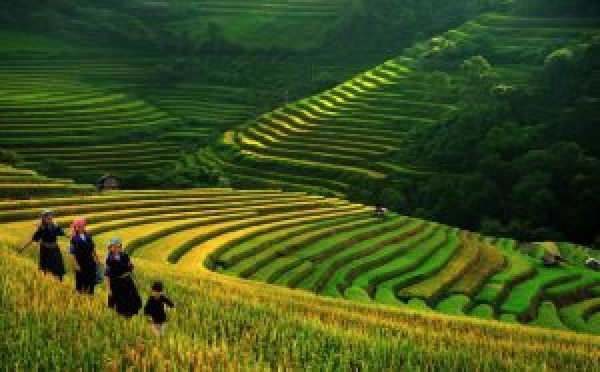 Vietnam Registra Crescita Reco