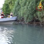 Vigili Del Fuoco Salvano Un Cane Rimasto Intrappolato Nel Canneto Lungo Il Tevere A Roma