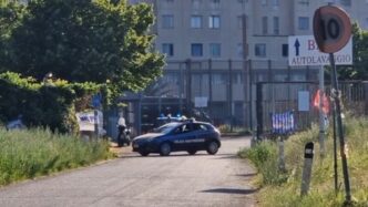 Violenta Lite Con Bomboletta D