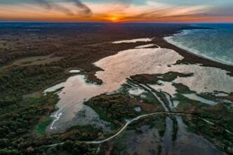 Voihotels E Wwf Italia Insieme