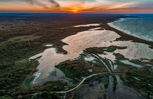 Voihotels E Wwf Italia Insieme