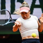 Yulia Putintseva Interrompe Il Match A Wimbledon Per Un Uomo Sospetto Sugli Spalti