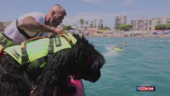 Il 25 Luglio Giornata Internaz