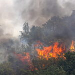 Incendi In Serbia: Oltre 1400 Roghi Spenti E Migliaia Di Soccorsi In 10 Giorni Di Emergenza