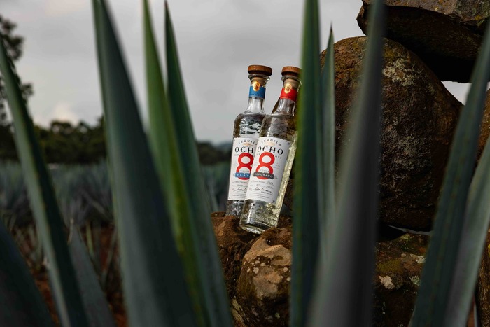 La Celebrazione Del Tequila Ar