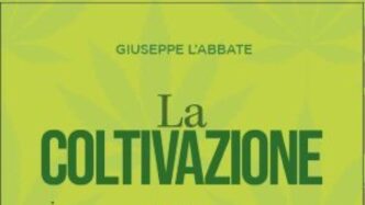 La Coltivazione Della Canapa I