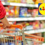 Lidl, L’Offerta È Senza Precedenti: Apparecchio Professionale Per La Cucina A Meno Di 40€