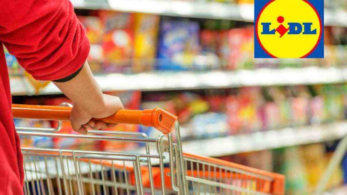Lidl, L'Offerta È Senza Precedenti: Apparecchio Professionale