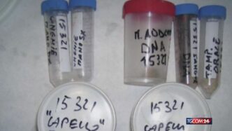 Nuovo Dna Nucleare Scoperto Ne