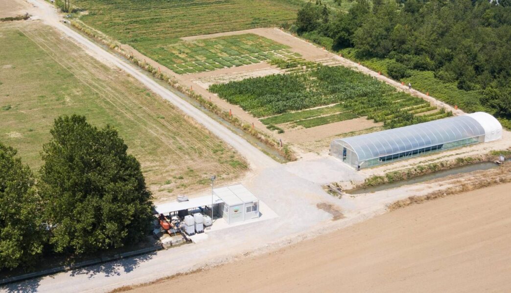 Partnership Di Agrifuture Con