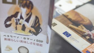 Promozione Del Pecorino Romano