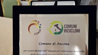Un Premio Per Ancona Che Promu