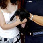 A Arzano una cucciola smarrita trova una nuova famiglia grazie alla polizia locale e a una giovane cittadina