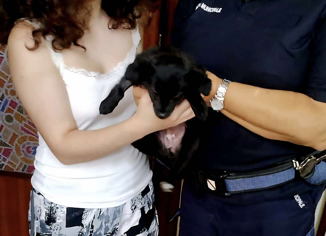 A Arzano Una Cucciola Smarrita