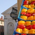 A Carmagnola Torna La Via Del Peperone Con Il Forofestival E Le Piazze Del Gusto Nel Cuore Della Fiera