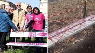A Torino Sparito Lo Schienale