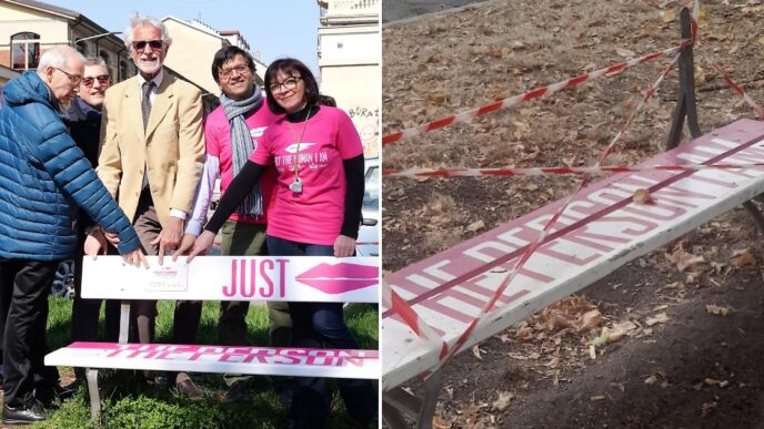 A Torino Sparito Lo Schienale