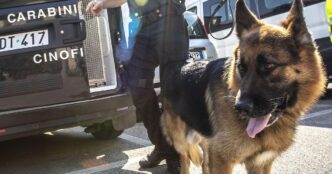 A Torino Blitz Sicurezza Nel Q