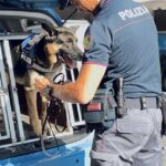 Blitz antidroga a Roma: nove arresti tra market, veicoli e consegne di cocaina e Hashish
